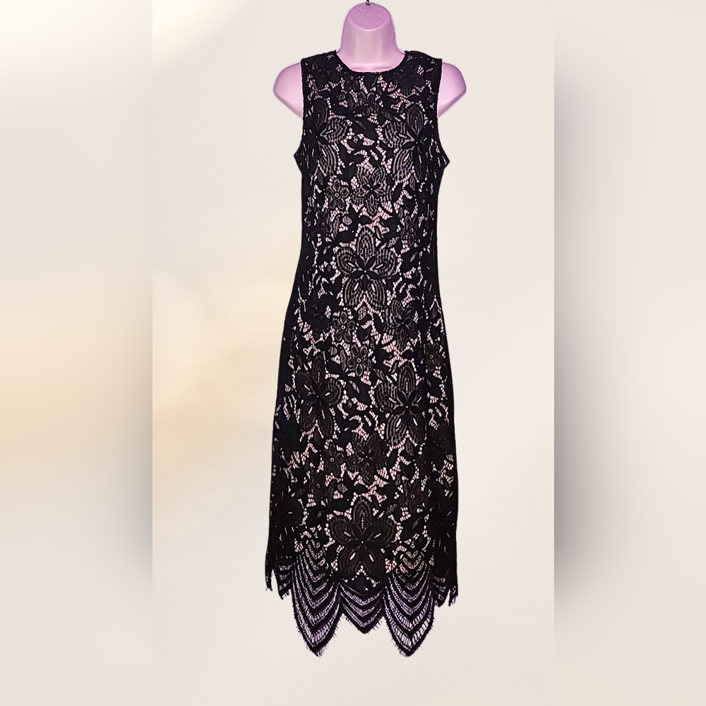 NWT_Sharagano Lace Midi Dress_Size 6